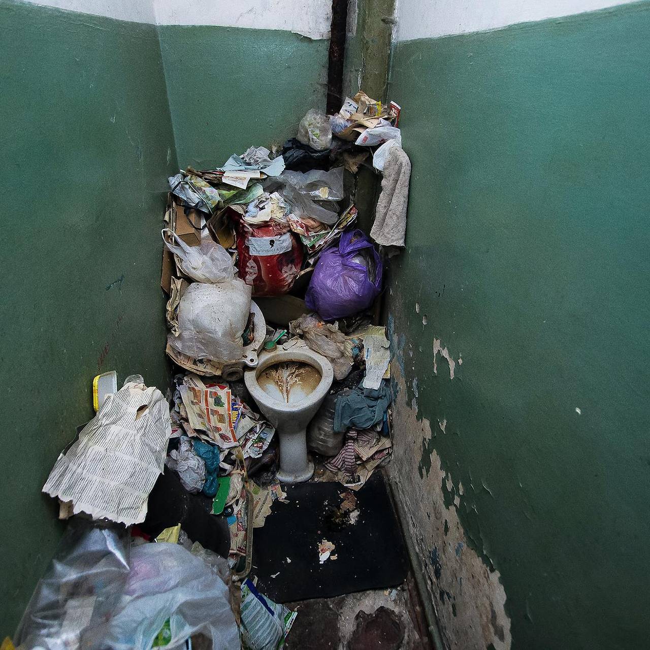 В России захотели в 10 раз увеличить штраф за антисанитарию в квартирах