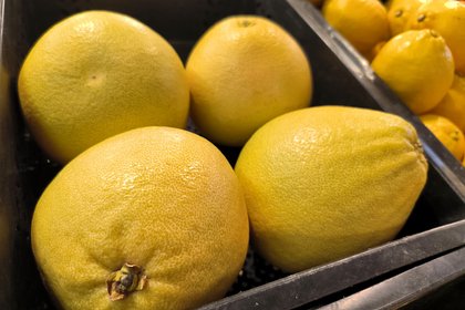 Россияне поверили в лайм