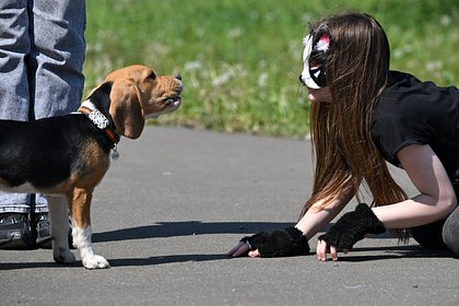 Квадроберы мигрировали в Польшу