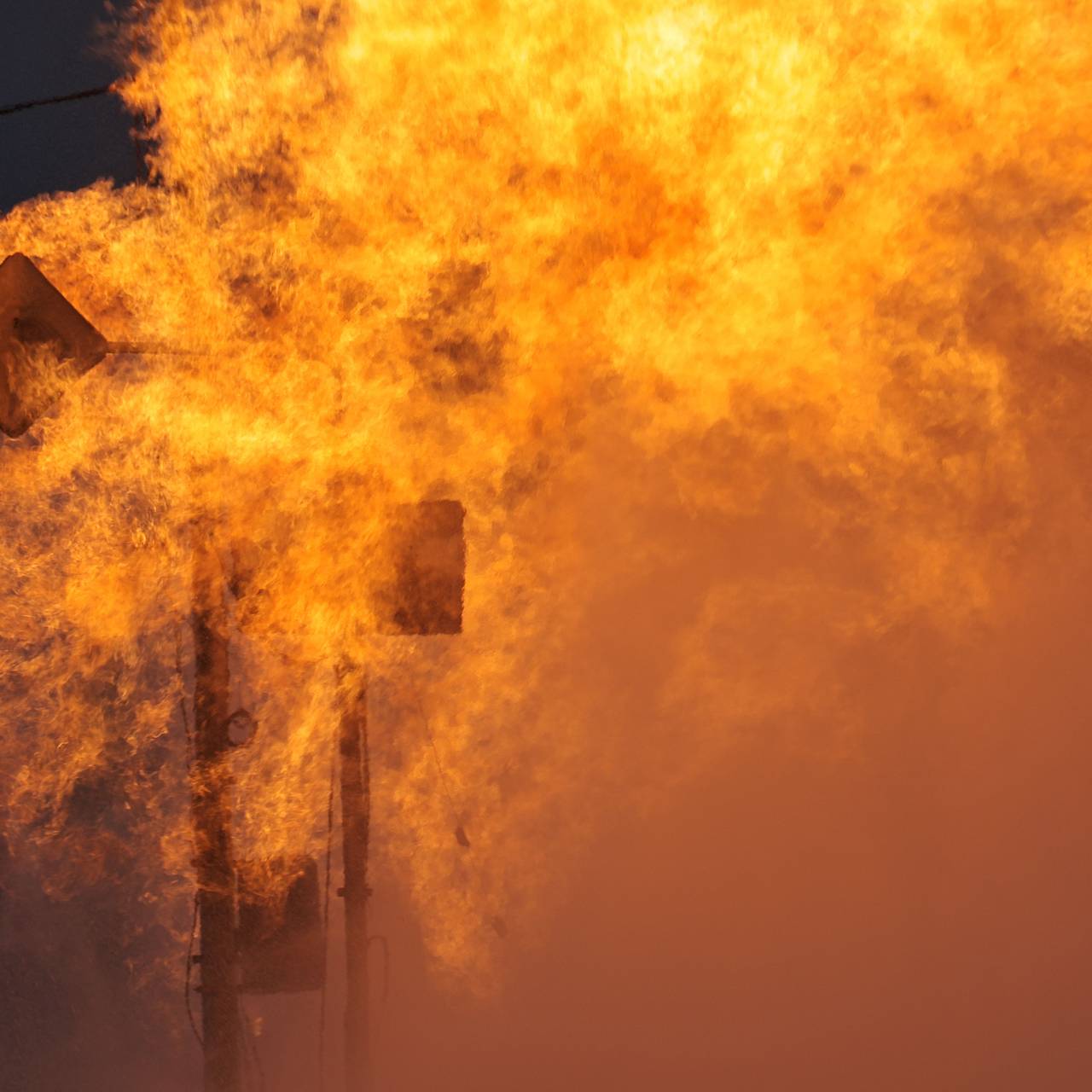 Фото: Evgen Kotenko / Globallookpress.com