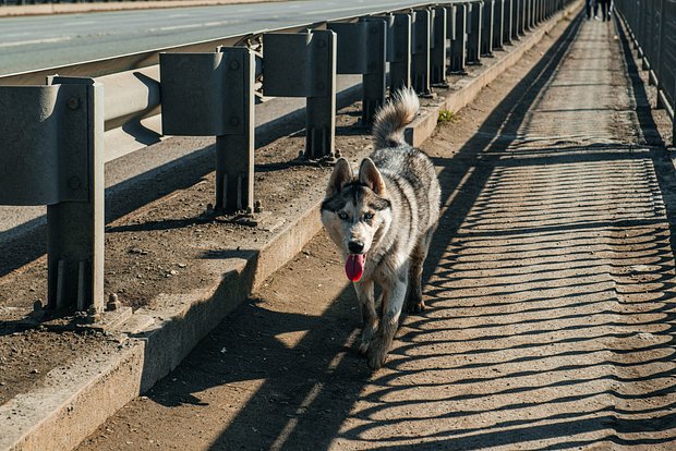 Вводная картинка
