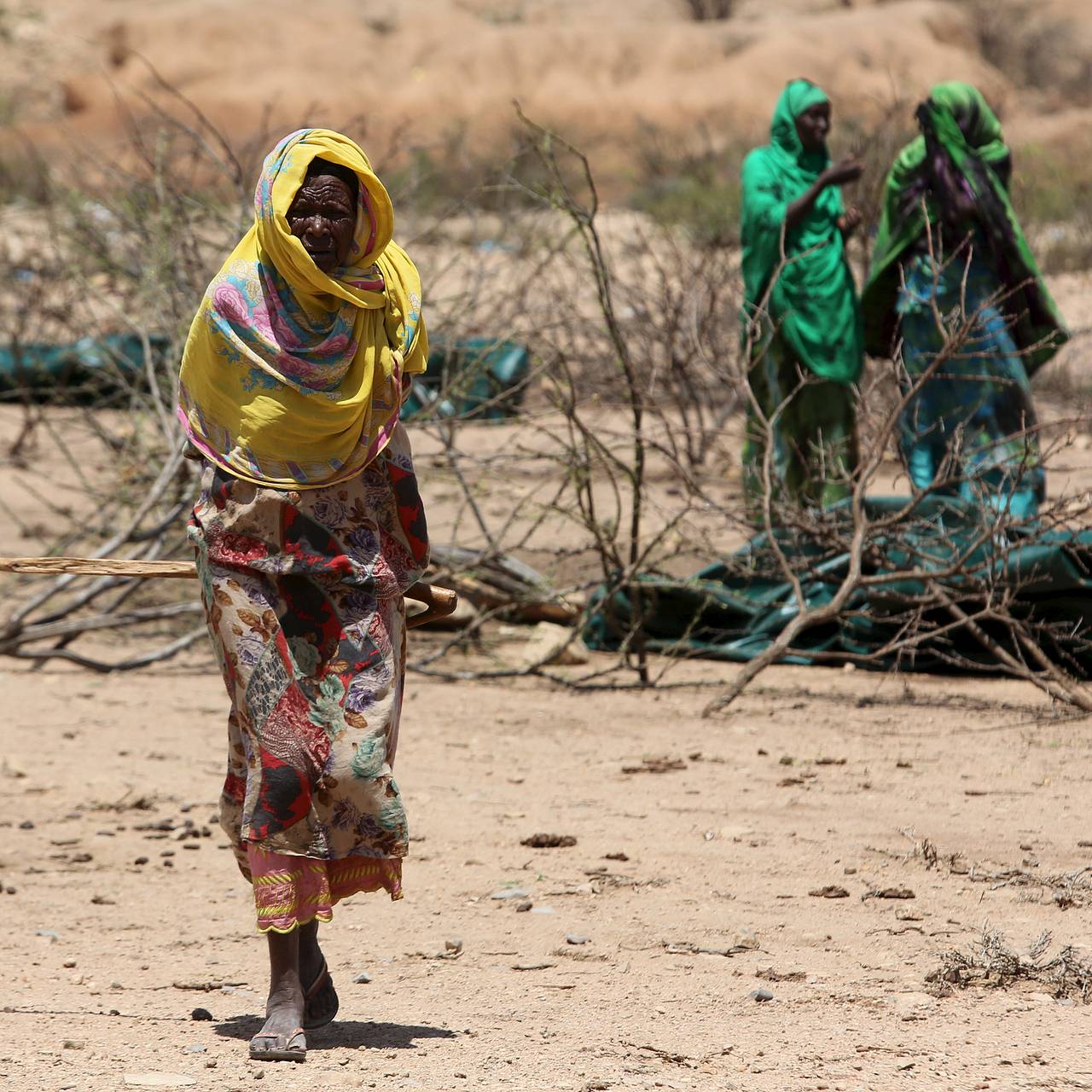 Грядущий &laquo;супер&raquo;-Эль-Ниньо приведет к новым тепловым рекордам