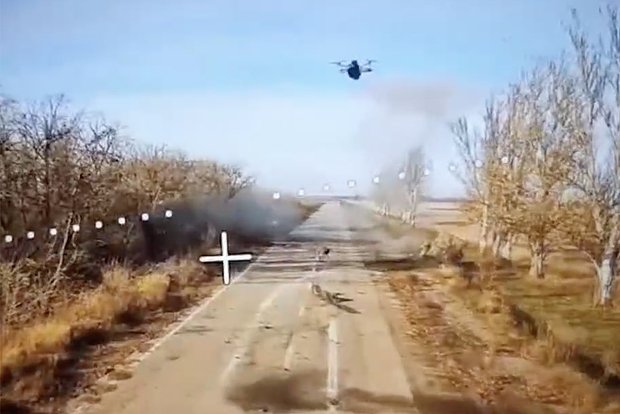 Вводная картинка