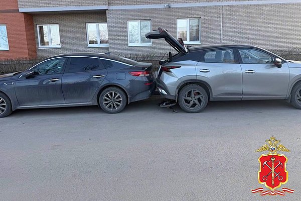 Вводная картинка