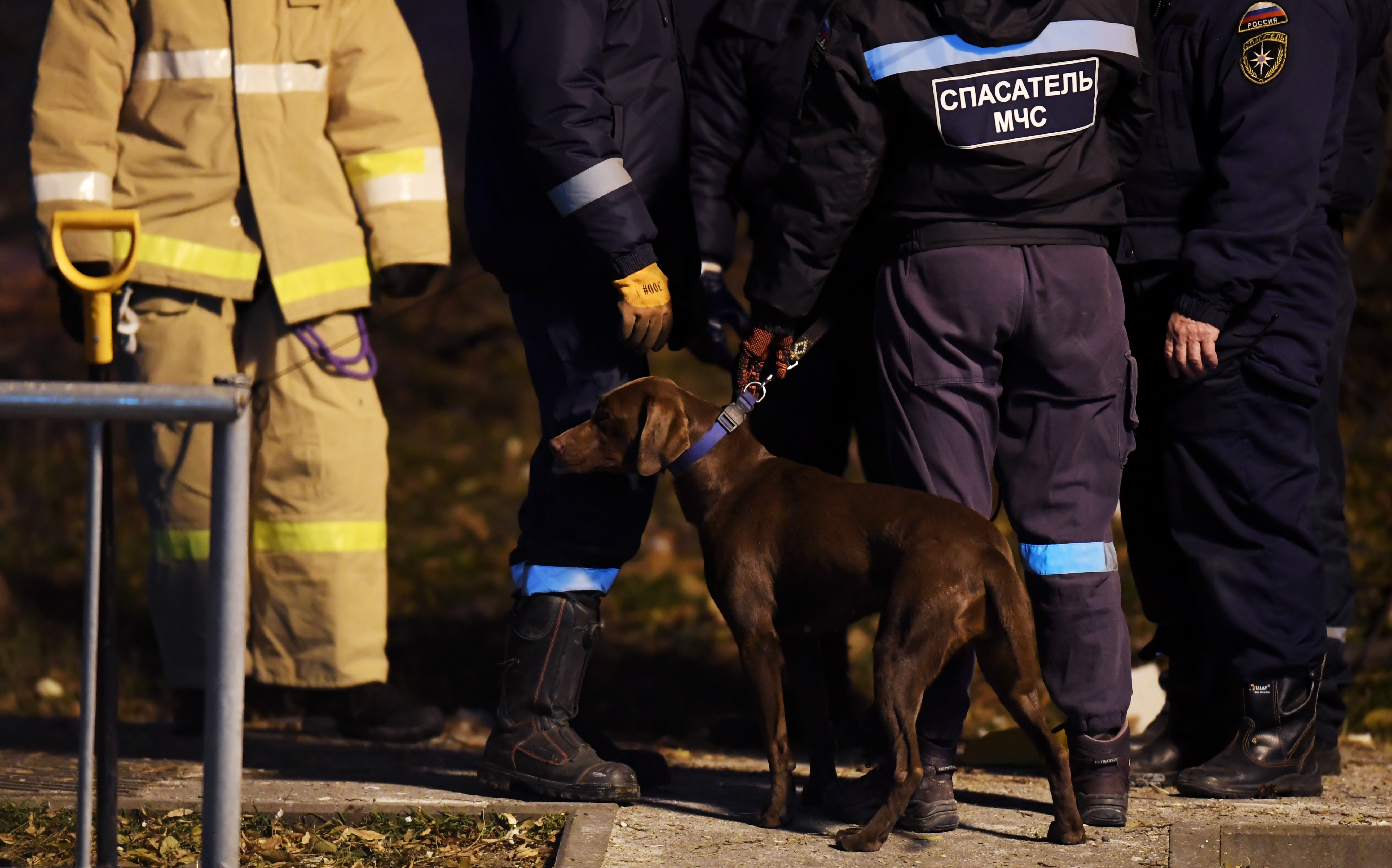 �����&nbsp; �������� ����������� ������������ ������� �� ����� ������� ����� ����������