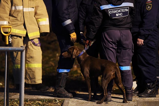 Вводная картинка