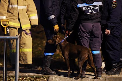 Стали известны подробности исчезновения мужчины на месте пропажи семьи Усольцевых