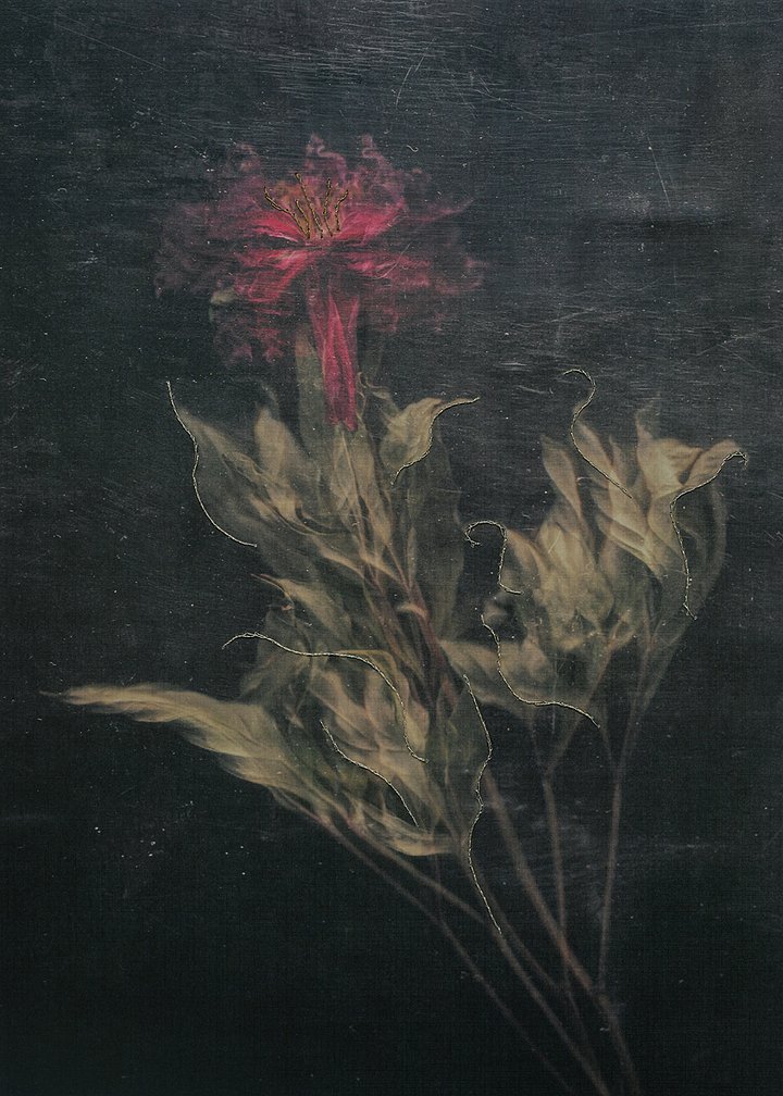 Проект «Призрачные узоры» занял второе место в конкурсе фотосерий номинации «Арт-фотография: Звук. Ритм. Музыка. Время»