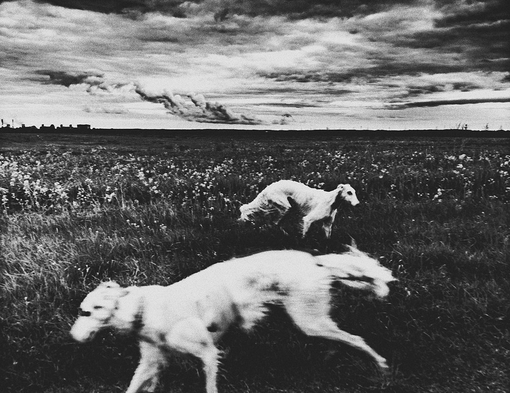 Проект «За чертой» победил в конкурсе фотосерий номинации «Арт-фотография: Звук. Ритм. Музыка. Время»