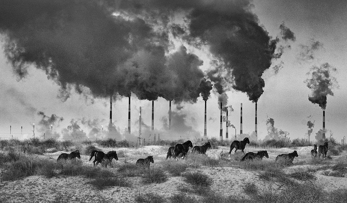 Снимок «Живая планета» стал вторым в конкурсе фотографий номинации «Репортаж: Звук. Ритм. Музыка. Время»