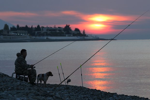Вводная картинка