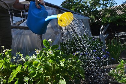 Россиян призвали собирать дождевую воду ради экономии