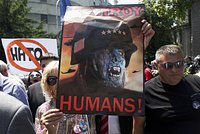 «У нас общие противники» Сербский парламентарий и конкурент Вучича — об отношении к Украине, о вступлении в ЕС и о дружбе с Россией