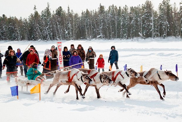 Вводная картинка
