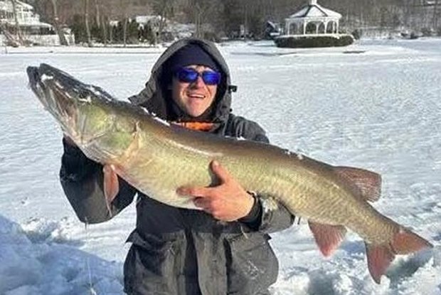 Вводная картинка