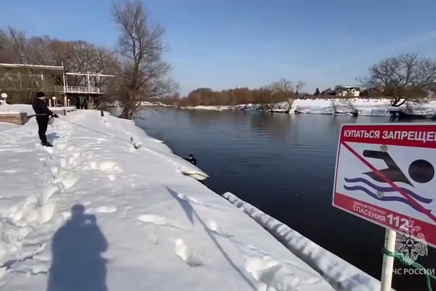 Вводная картинка