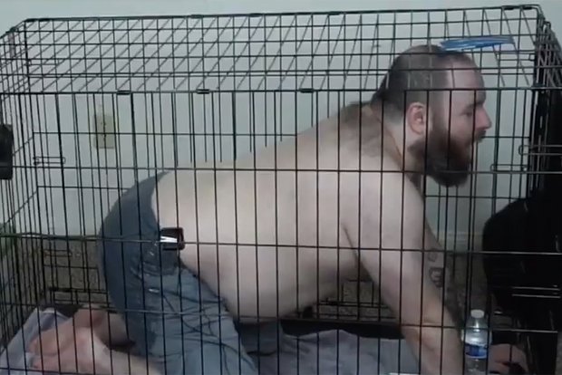 Вводная картинка