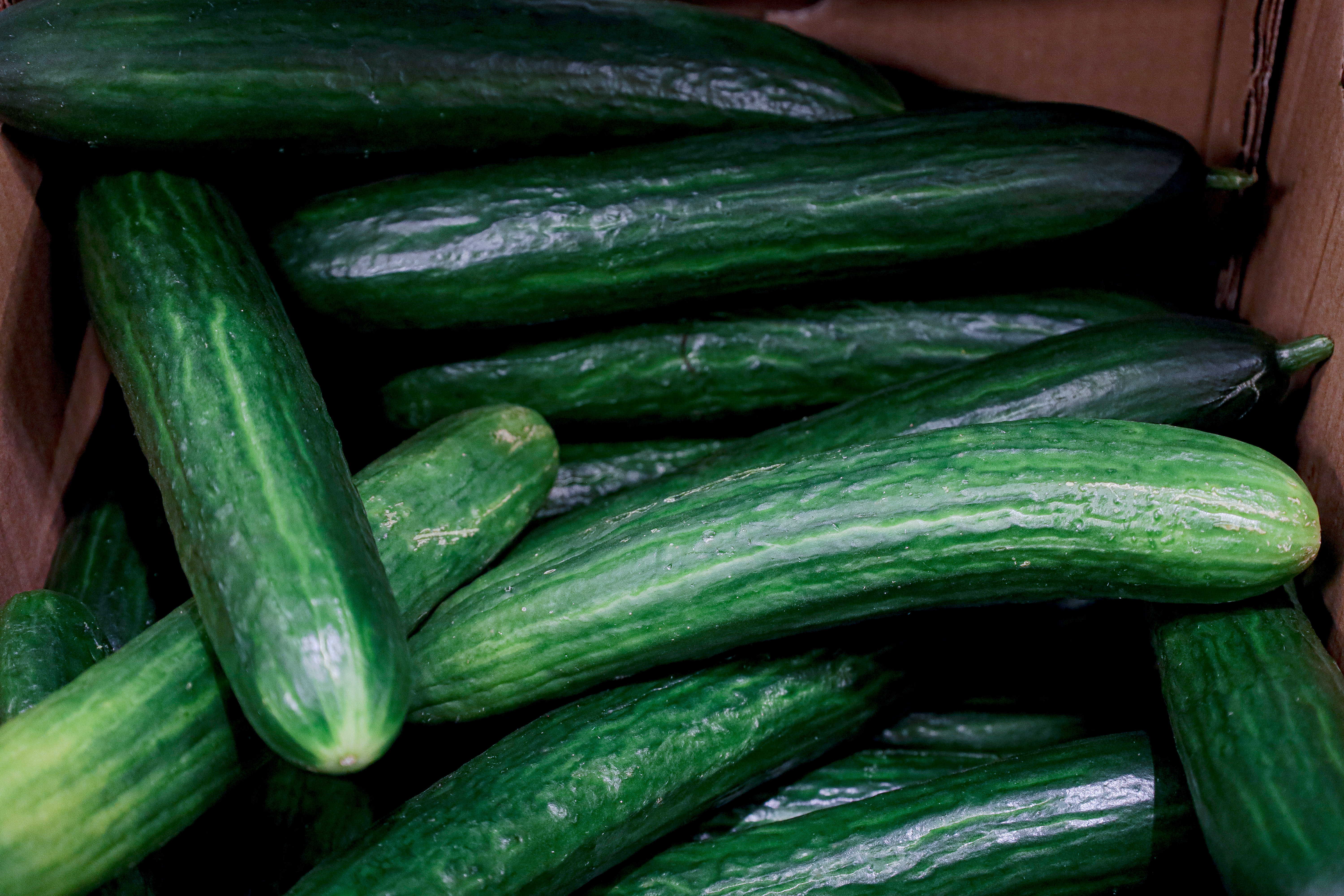 �&nbsp; ������ ����� ���� �� ���� �������