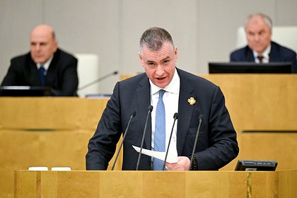 В Госдуме описали новые антироссийские санкции ЕС словами &laquo;самострел в голову&raquo;