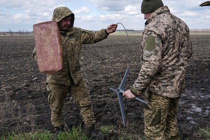 Названо количество уничтоженных Starlink в Харьковской области