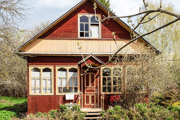 Вводная картинка