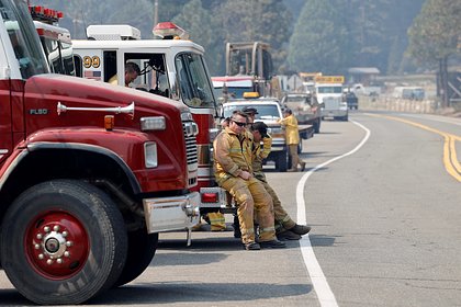 Мужчина и его собака спасли из пожара женщину и еще одного пса