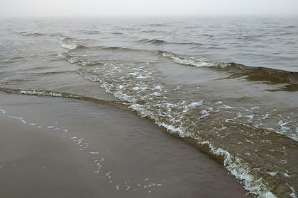 На берег Черного моря вынесло загадочную боеголовку