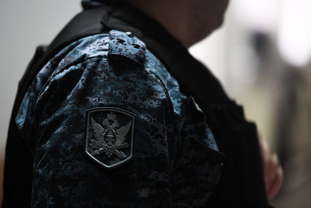 Вводная картинка