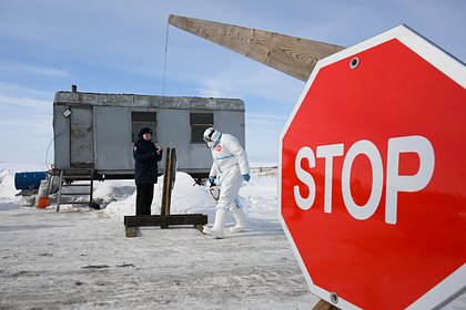 Стало известно об отсутствии выявления новых очагов пастереллеза в Новосибирской области