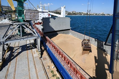 Китай снизил закупки некоторых российских товаров