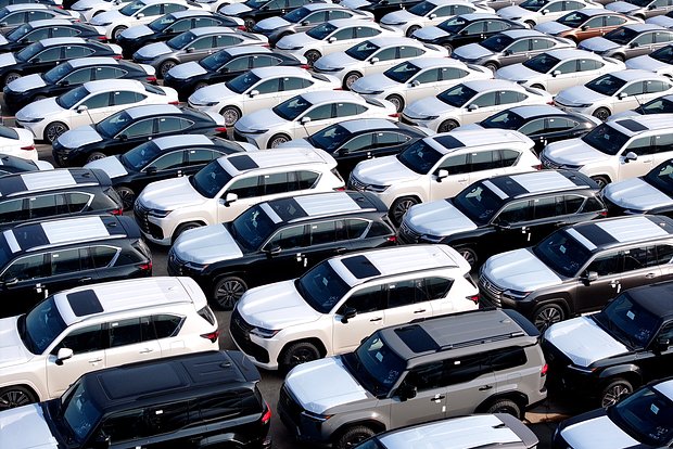 Вводная картинка