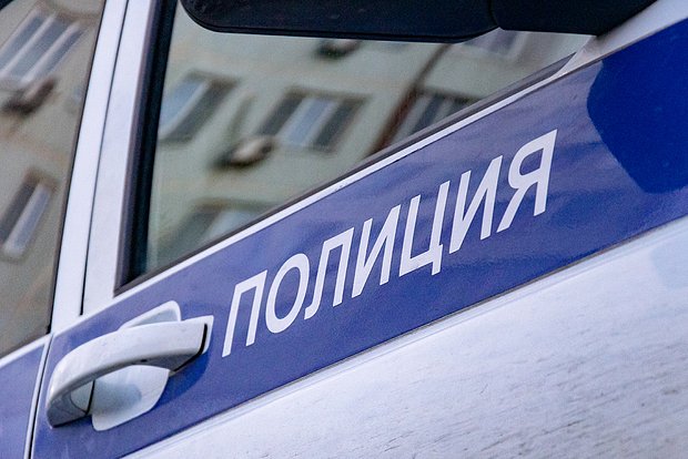 Вводная картинка