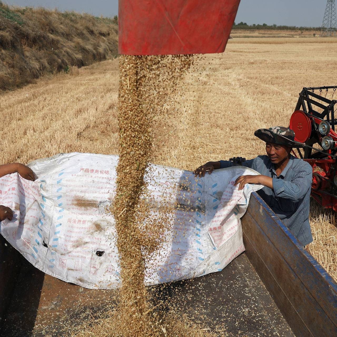 Миру спрогнозировали продовольственный шок из-за войны в Иране