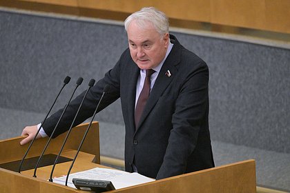 В Госдуме объяснили законопроект о защите россиян за границей с помощью армии