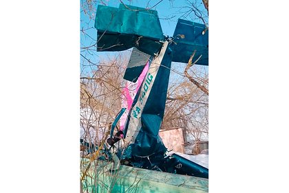 Появились подробности о разбившемся в Подмосковье самолете