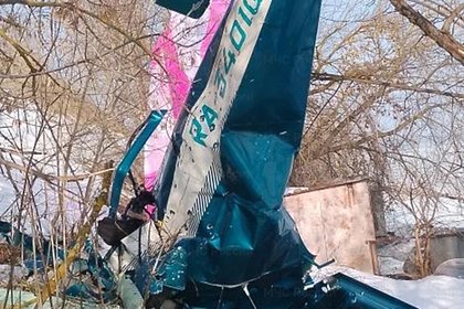 Число жертв крушения самолета под Москвой выросло