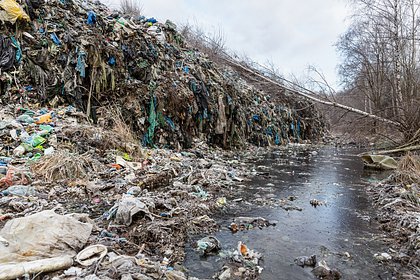 На свалке нашли бриллианты на миллионы рублей