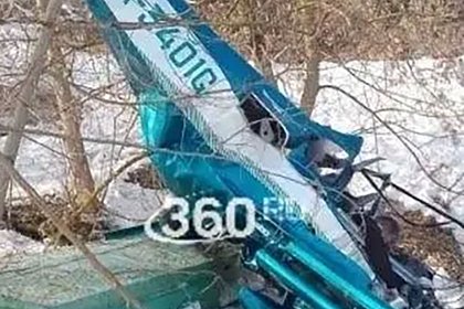 Появилось видео с места крушения самолета под Москвой