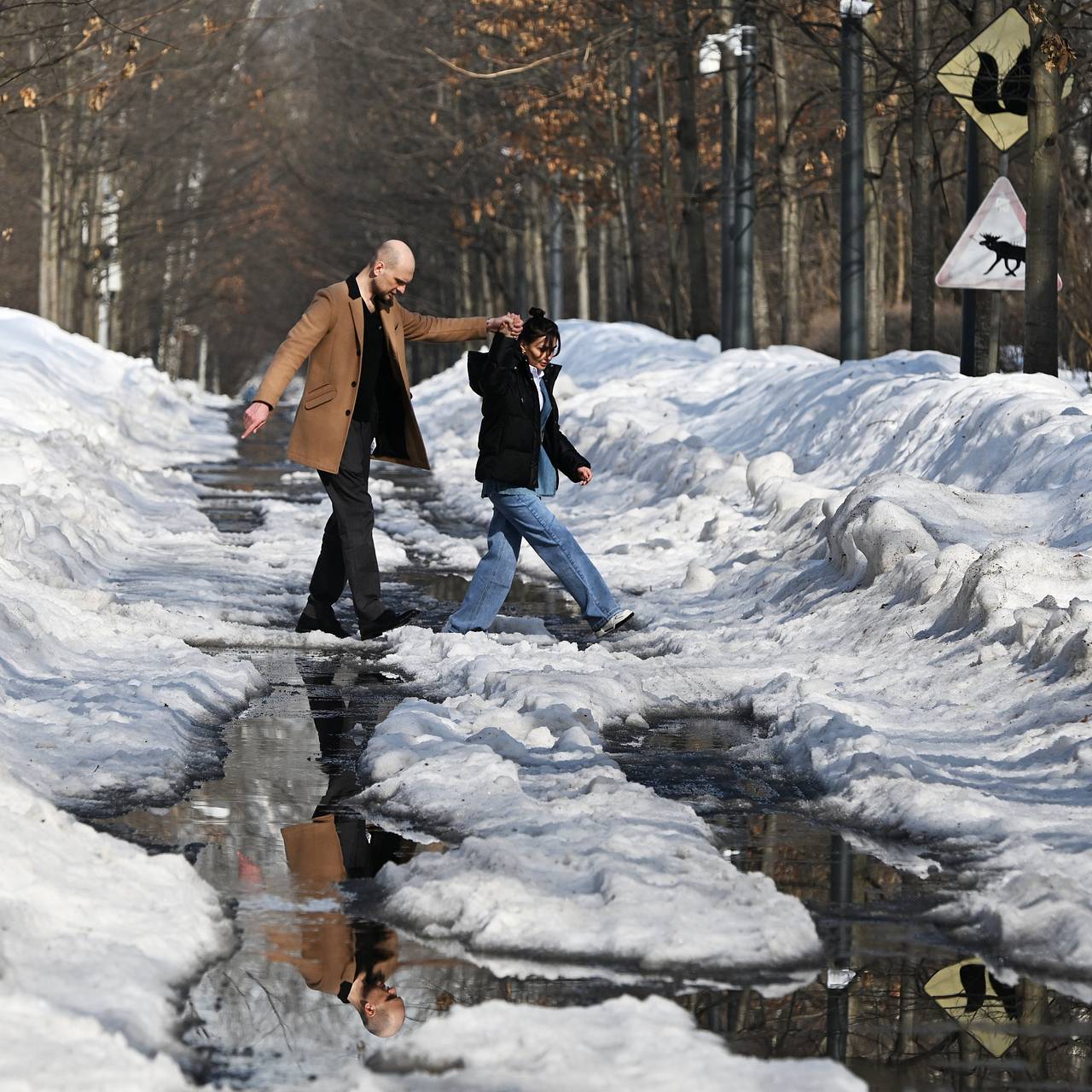 Темпы таяния снега в Москве оценили