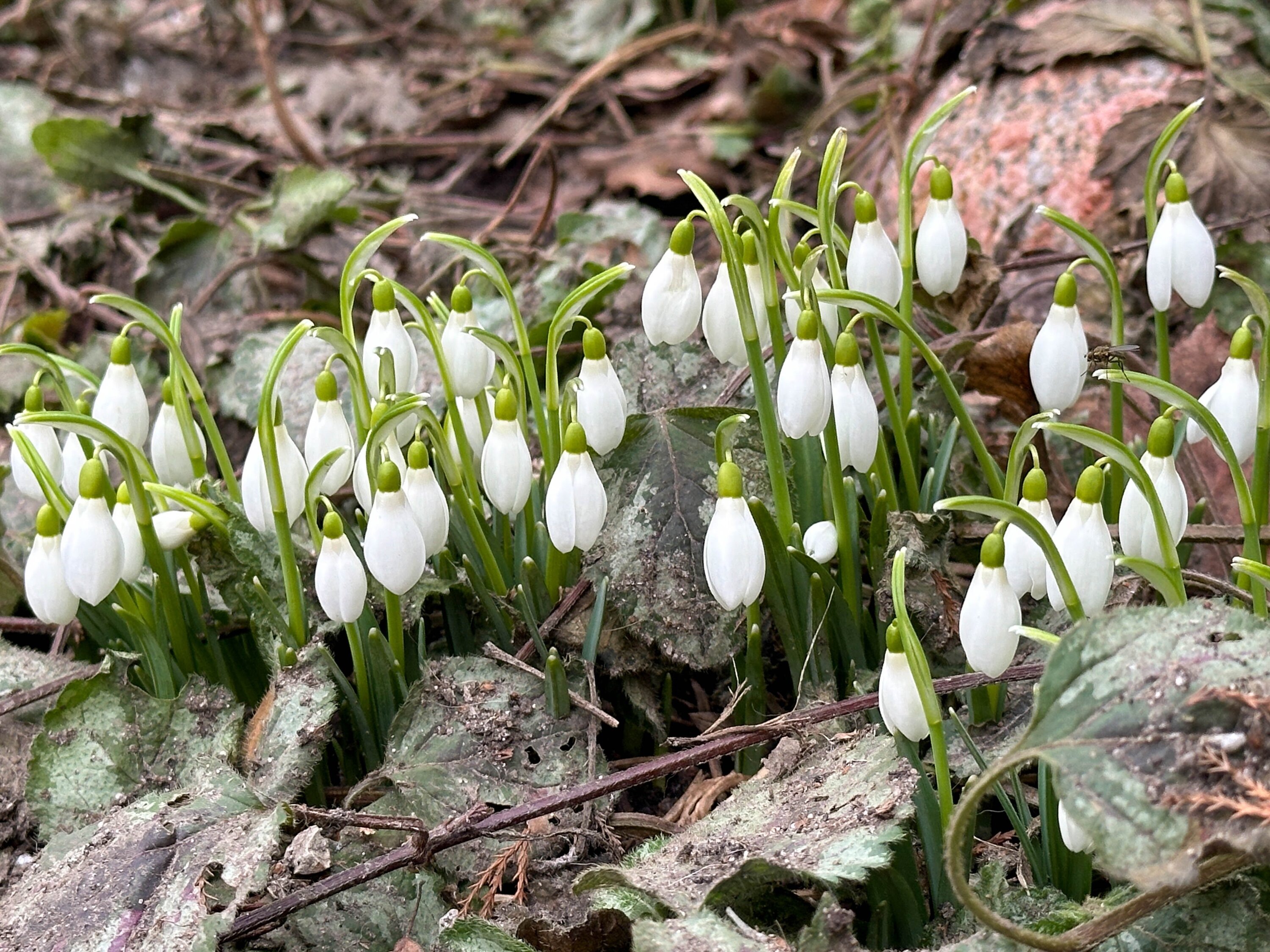 ���������&nbsp; ��������� � ������� ������� �� ��������� �����������