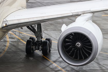 Вернувшийся в российский аэропорт самолет столкнулся с птицей