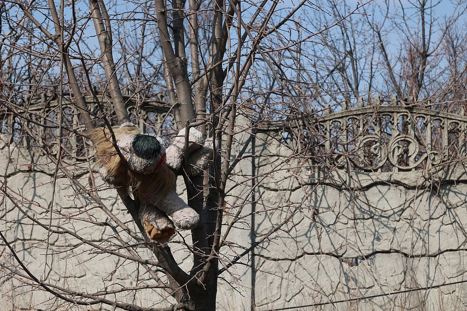 Фотография из статьи