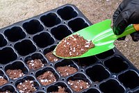 Лучшие удобрения для рассады: топ-15 подкормок для огурцов, помидоров и цветов