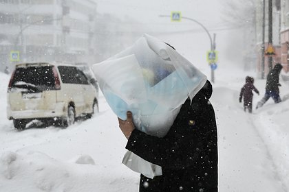Часть россиян предупредили о метелях
