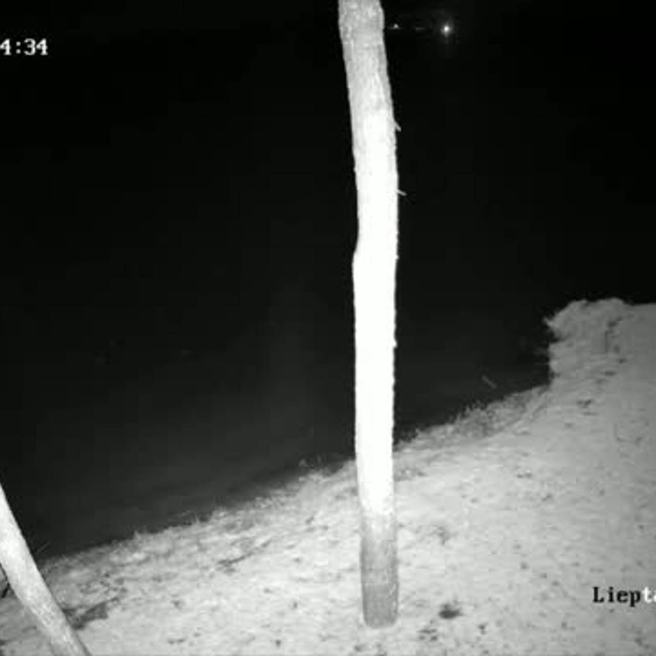 В Литву залетел неизвестный дрон и попал на видео