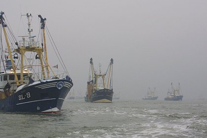 В одной стране вынуждены отказаться от основного промысла из-за цен на топливо