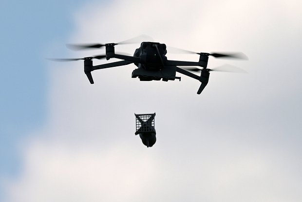 Вводная картинка