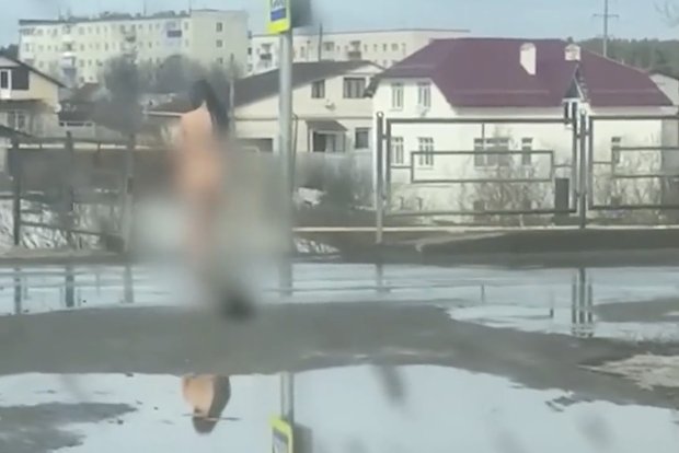 Вводная картинка