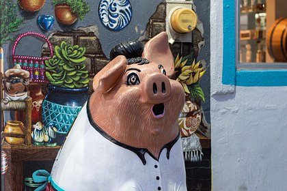 Миллиардер заполнила дом свиньями и разозлила соседей