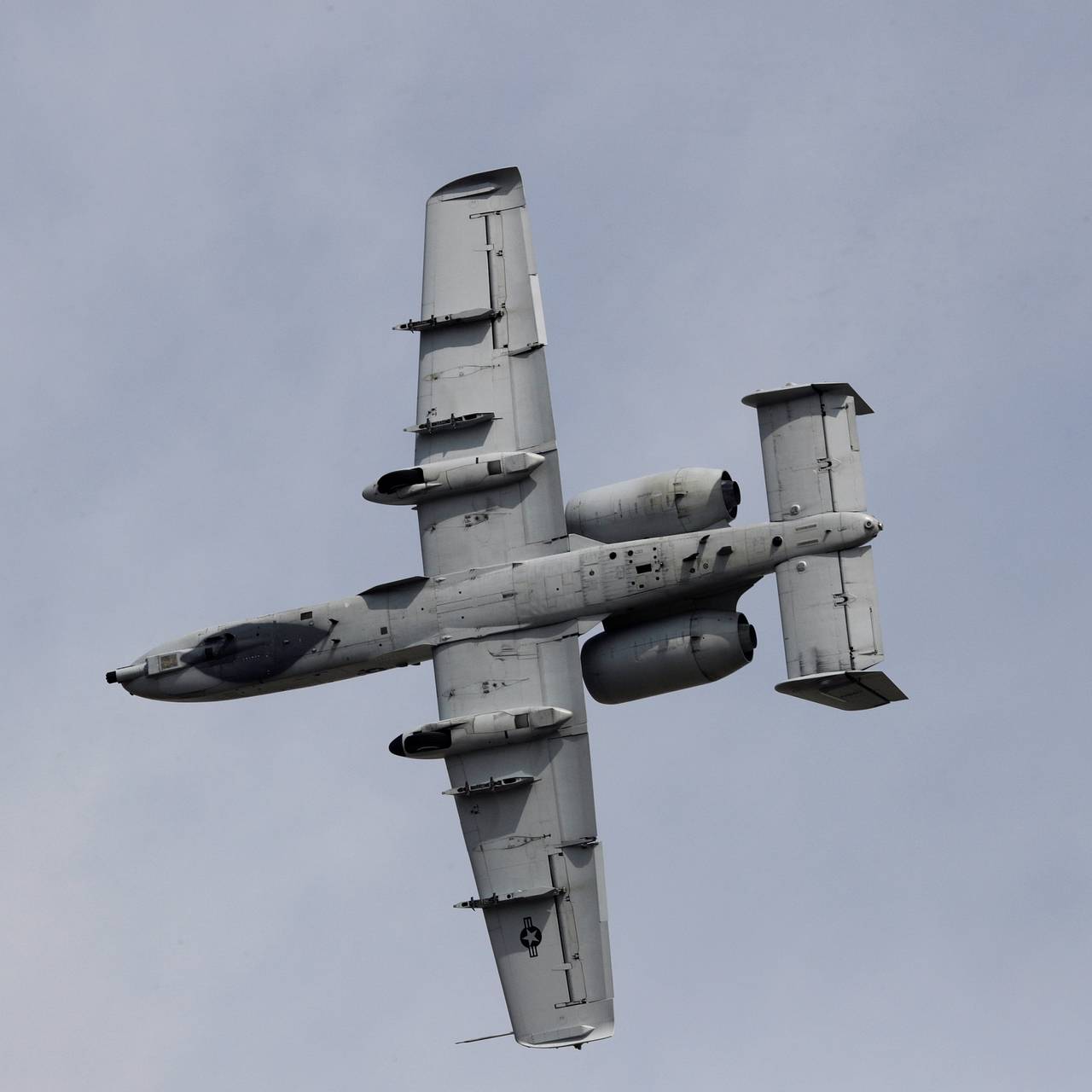 Американские &laquo;Бородавочники&raquo; назвали главным кошмаром ВМС Ирана